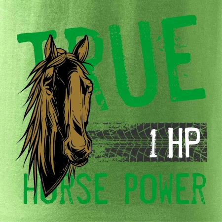 True Horse Power 1 HP