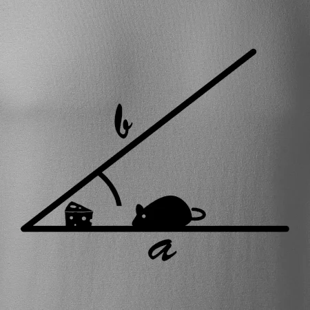 Matematická myš
