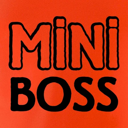 Big boss mini boss