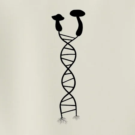 DNA huby