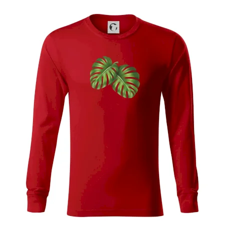 Monstera - dva listy
