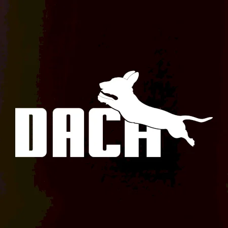 Jazvečík Dach