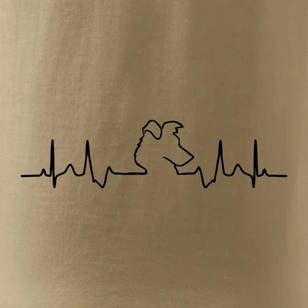 Borderská kólia EKG