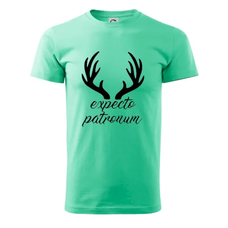 Harry - Expecto patronum