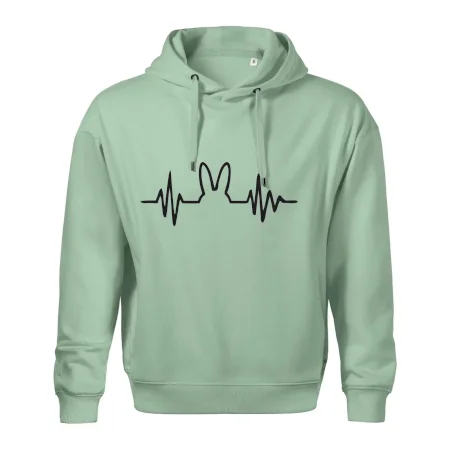 EKG zajac