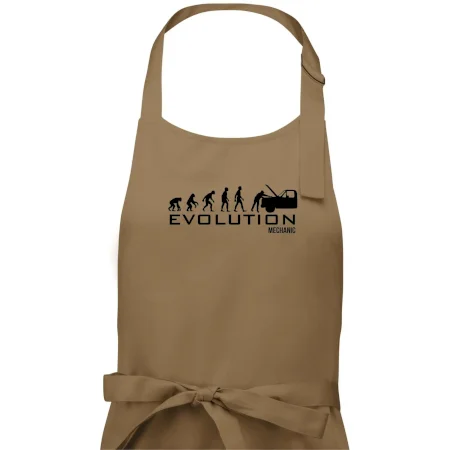 Evolúcia mechanik