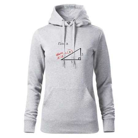Find X - geometria