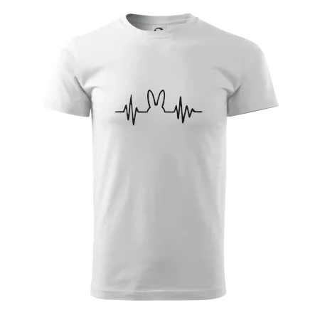 EKG zajac