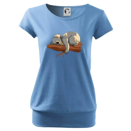 Koala na vetve