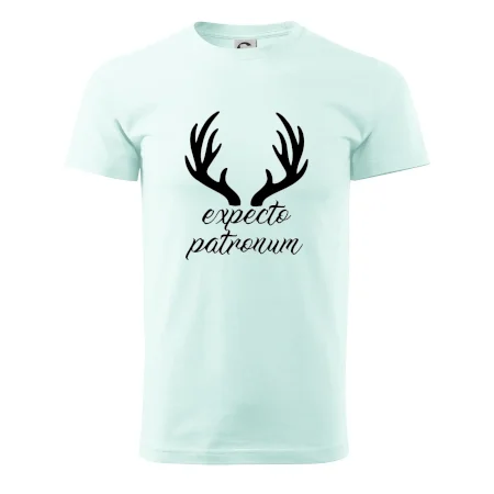 Harry - Expecto patronum