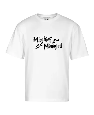 Harry - Mischief Managed