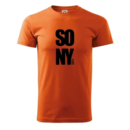 SO NY city