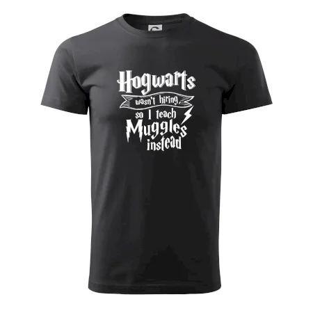 Harry - Hogwarts wasn’t hiring, so I teach Muggles instead