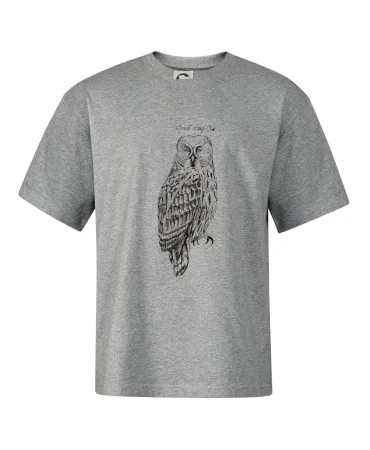 Sova bradatá Barred owl