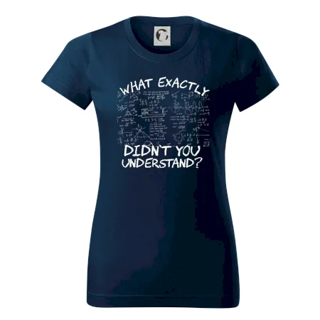 What exactly didn't you understand - physics