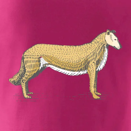 Vintage Collie