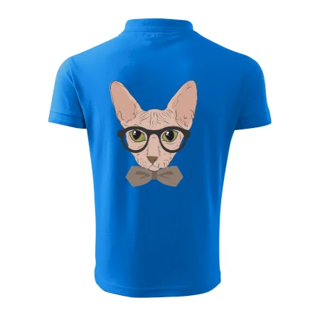 Hipster sphynx