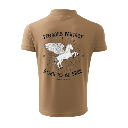 Pegasus fantasy
