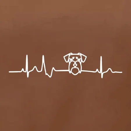 Ekg bradáč hlava