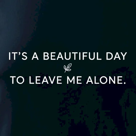 It's a beautiful day to leave me alone.