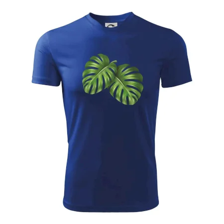 Monstera - dva listy