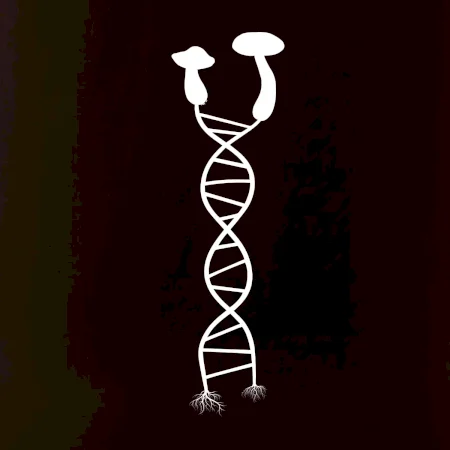 DNA huby