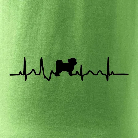 Havanský psík ekg