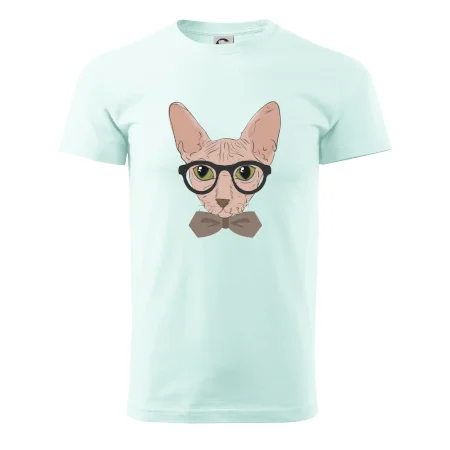 Hipster sphynx