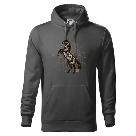 Horse mustang