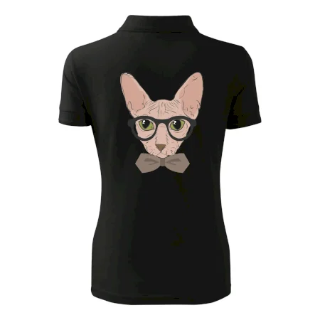 Hipster sphynx