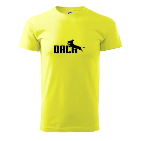Jazvečík Dach