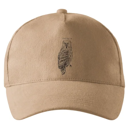 Sova bradatá Barred owl
