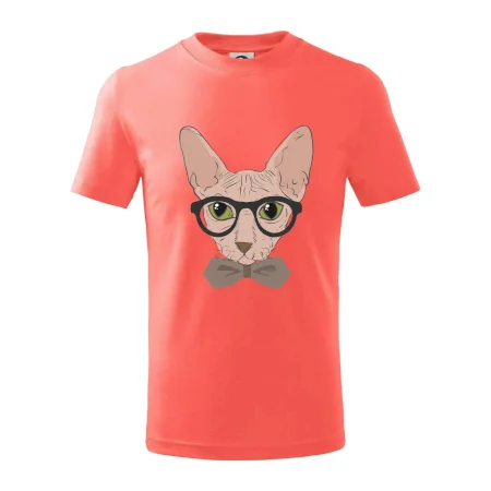 Hipster sphynx