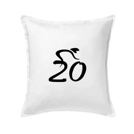 Cyklista oslavuje dvadsiatku (20)