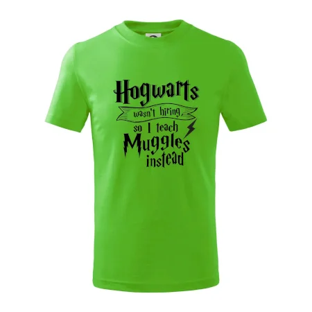 Harry - Hogwarts wasn’t hiring, so I teach Muggles instead