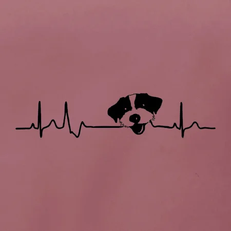 Jack Russell Teriér hrubosrstý Ekg