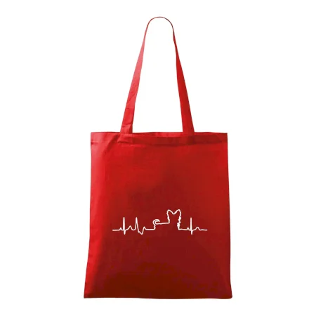 Yorkshirský teriér EKG