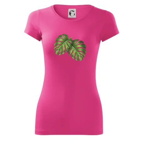 Monstera - dva listy
