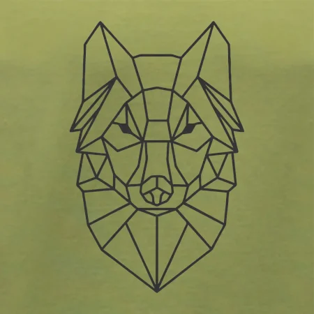 Geometria - vlk