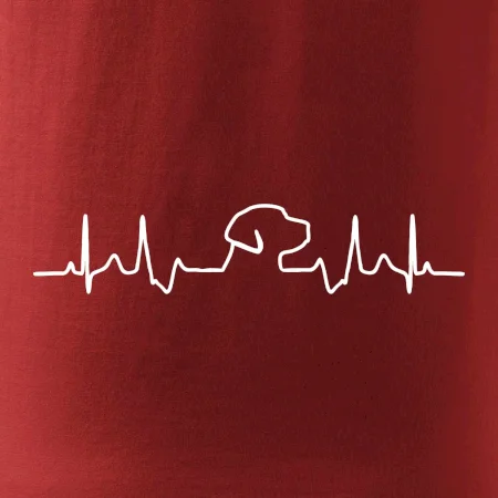 Labradorský retriever‎ EKG