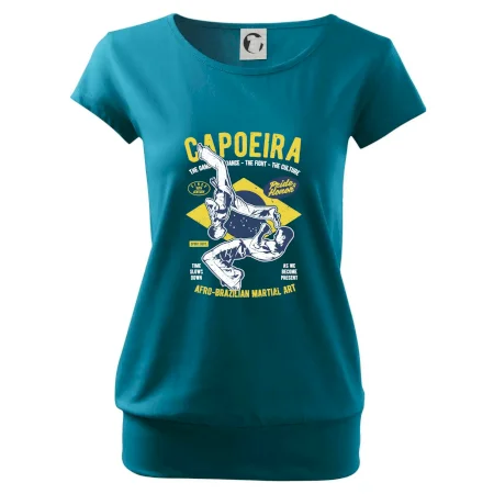 Capoeira  Afro-brazil art