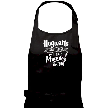 Harry - Hogwarts wasn’t hiring, so I teach Muggles instead