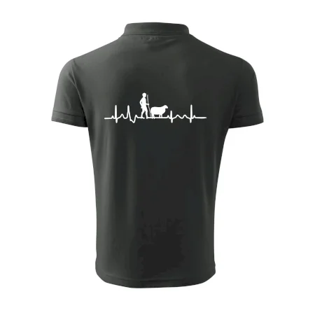 Ekg pastier oviec