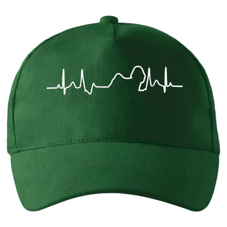 Shih-tzu ekg obrys