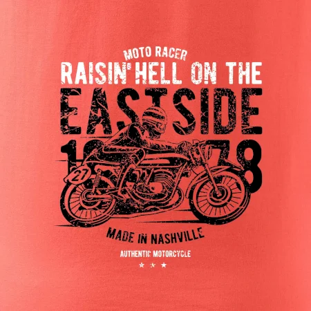 Raisin Hell Moto Racer