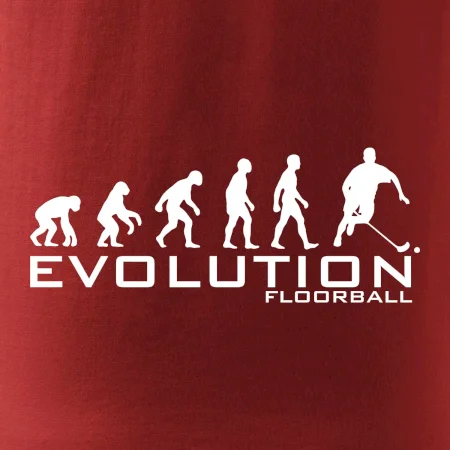 Evolúcia Floorball