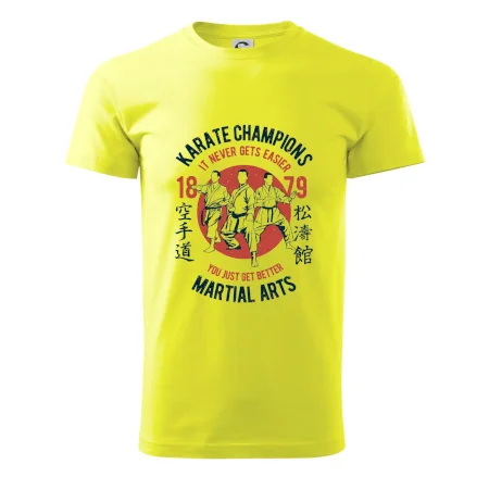 Karate Champions