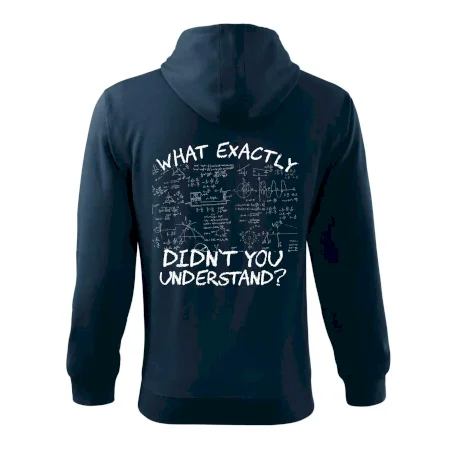 What exactly didn't you understand - physics