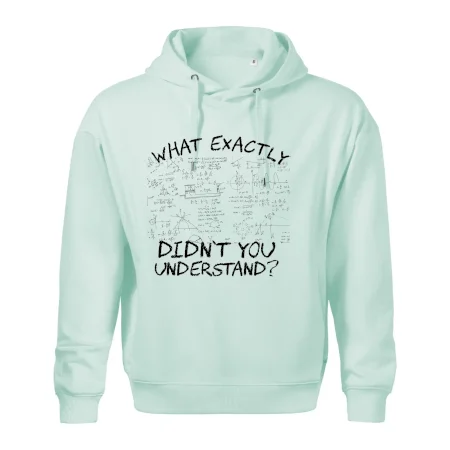What exactly didn't you understand - physics