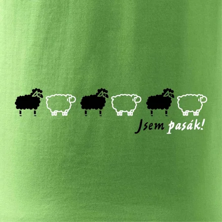 Som pasák - ovce v rade